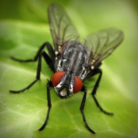 /album/prijschristianlouboutin/photolia-a01-jpg/