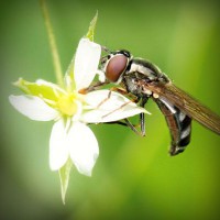 /album/prijschristianlouboutin/photolia-a02-jpg/