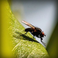 /album/prijschristianlouboutin/photolia-a04-jpg/