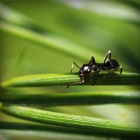 /album/prijschristianlouboutin/photolia-a05-jpg/