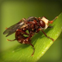 /album/prijschristianlouboutin/photolia-a06-jpg/