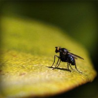 /album/prijschristianlouboutin/photolia-a07-jpg/