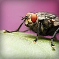 /album/prijschristianlouboutin/photolia-a08-jpg/